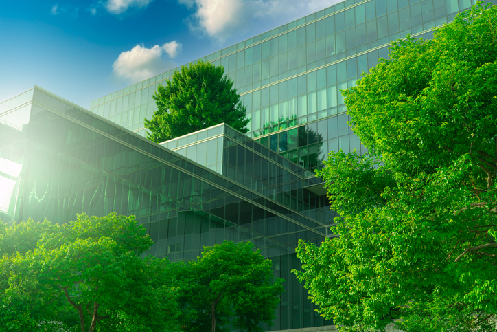 Going Green While Making Green: The Rise of Sustainable Real Estate